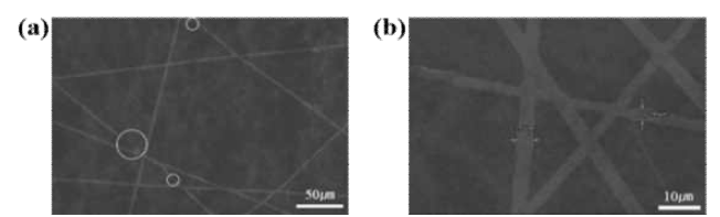 임베딩 방식을 통해 제작된 스트레쳐블 섬유 전극의 SEM이미지 (a)400 배율, (b)2000 배율