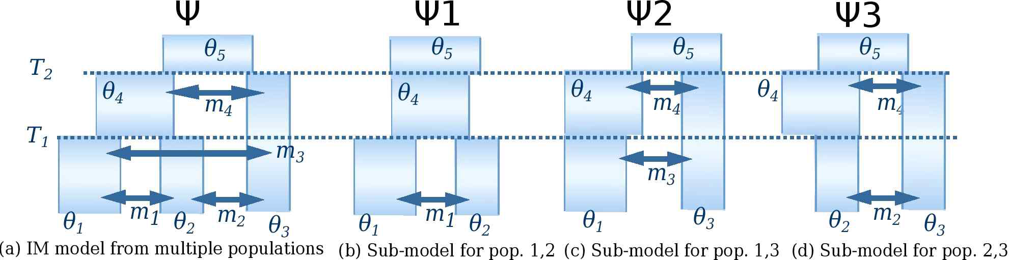 (a) 집단 세 개에 대한 IM 모형. 총 12개의 모수를 가지고 있다. (b) 집단 1과 2에 대한 모형 (a)의 부모형(sub-model). (c)-(d) 다른 쌍의 집단 대한 부모형