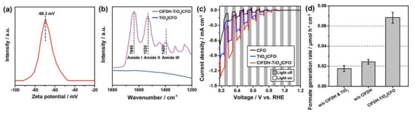 ClFDH-TiO2|CFO 광 바이오 음극 분석. (a) pH 6.5의 완충용액에서 측정한 TiO2의 제타 전위. (b) 푸리에 변환 적외선 분광학을 이용한 ClFDH의 특성화 분석. (c) ClFDH-TiO2|CFO 및 대조군들의 외부 인가전압에 따른 환원성 광전류. (d) 가시광선 (λ > 420 nm), 0.39 V (vs. RHE)에서의 ClFDH-TiO2|CFO 및 대조군들의 이산화탄소-포름산염 전환