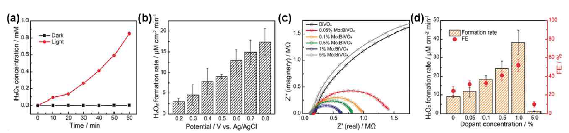 (a) 빛의 조사 유무에 따른 BiVO4의 H2O2 생성 농도. 바이어스: 0.5 VAg/AgCl. (b) 빛을 조사한 경우 바이어스 크기에 따른 BiVO4의 H2O2 생성 농도. (c) 빛을 가했을 때 BiVO4와 Mo:BiVO4의 나이퀴스트 그래프. 바이어스: 0.3 VAg/AgCl. 전해질: 인산수소 포타슘 완충 용액 (0.1 M, pH 7). (d) Mo 도핑 농도에 따른 H2O2 생성 속도와 페러데이 효율
