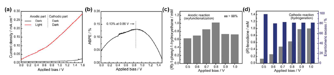 (a) 빛의 유무에 따른 광전기화학 셀의 전류밀도-전압 그래프. (b) 바이어스에 따른 광자대비전류전환 그래프. (c) 바이어스 크기에 따른 AaeUPO 효소 반응 속도. (d) 바이어스 크기에 따른 TsOYE 효소 반응 속도