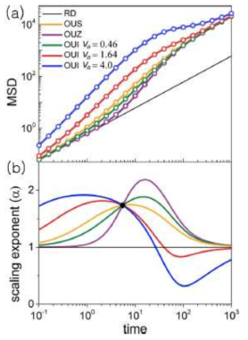 활성물질의 평균제곱변위의 변화 양상. 비활성물질의 경우(RD, 검은색 실선) 평균제곱변위가 일정한 직선으로 나오게 된다. 하지만 활성물질이 움직일 때 속도가 있게 될 경우 평균제곱변위의 양상이 달라진다. 특히, 활성물질이 움직일 때의 속도가 주변 환경에 영향을 받지만 초기에 주변 환경이 평형에 도달한 경우(OUS)와 특정한 값에서 요동을 시작하는 경우(OUZ), 그리고 활성물질이 움직이는 속도가 여러 상태가 존재하여 그것이 역동적으로 변하는 경우(OUI)에 따라 평균제곱변위가 다양하게 바뀜을 확인할 수 있다