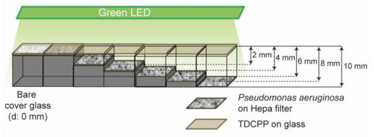 해파필터 위에 박테리아 살균 능력 실험. TDCPP(Tris(1,3-dichloro-2-propyl)phosphate)가 도포된 유리 위에 녹색 LED를 쬐어주게 되면 활성산소가 발생된다. 이 유리와 해파 필터와의 거리 조절을 통해 어느 거리까지 살균 효과가 나타나게 되는지 실험을 수행하고, 사멸 과정의 세포 동역학 분석을 통해 활성산소와 박테리아 살균 능력에 대한 상관관계를 알아낼 계획이다