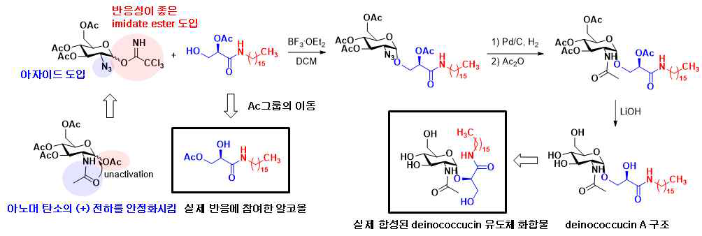 2차 알코올에 당이 치환된 deinococcucin 유도체의 합성
