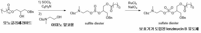 Sulfate diester의 합성 과정 및 lenzimycin 유도체 합성