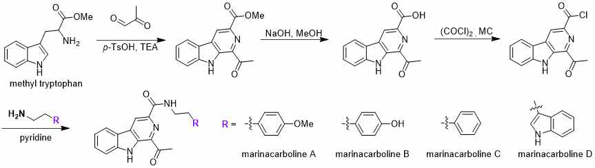 Marinacarboline A-D의 합성 과정