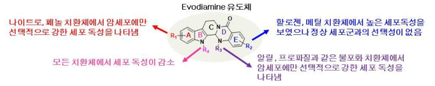 Evodiamine 유도체와 항암 활성 간의 구조-활성 연구