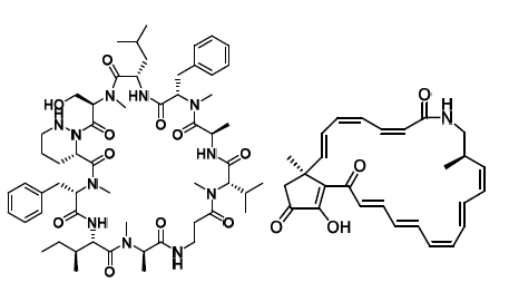 lenziamide A (좌), piceamycin (우)