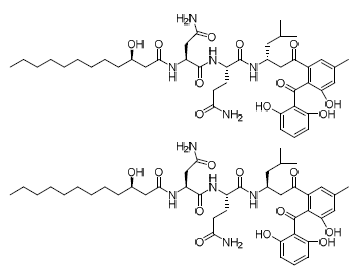 Asperphenin A (위)와 Asperphenin B (아래)의 구조