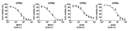 MCF7과 A549 세포주에서 CPR3 (12a), CPR4 (12b)의 IC50 값 측정
