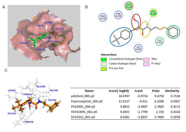 Psammaplin A 유도체 PsA-3091과 DOT1L 단백질과의 상호작용 연구