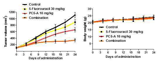 Lenziamide A의 5-fluorouracil (5-FU) 내성종양 성장억제 효능 및 5-FU와 병용 효능