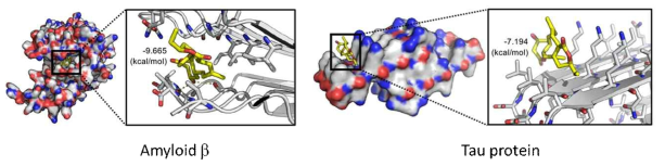 Rhizolutin과 Aβ, 타우 단백질간의 상호작용 docking simulation