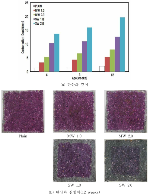 자기감지 시멘트복합체의 탄산화 특성
