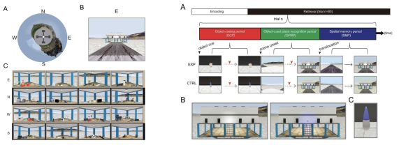 연구책임자 연구실에서 개발한 사람대상 작업기억 가상현실 과제 (Lee et al., 2016)