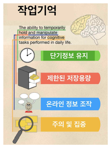 작업기억 특성