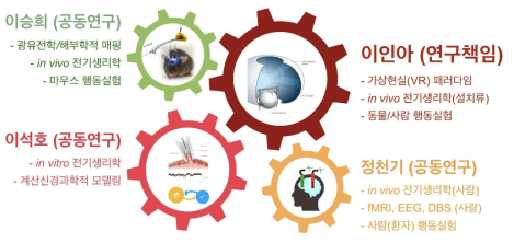 기초연구실을 통한 작업기억 연구의 통합적 접근법 도식화