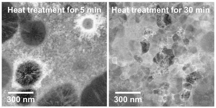 620 ℃에서 5분, 30분 열처리한 NbCo1.1Sn 시편의 TEM 결과