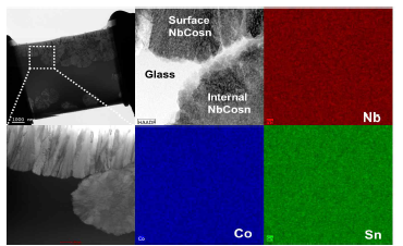 6분 동안 510℃로 유지한 NbCoSn 시편의 EDS mapping결과