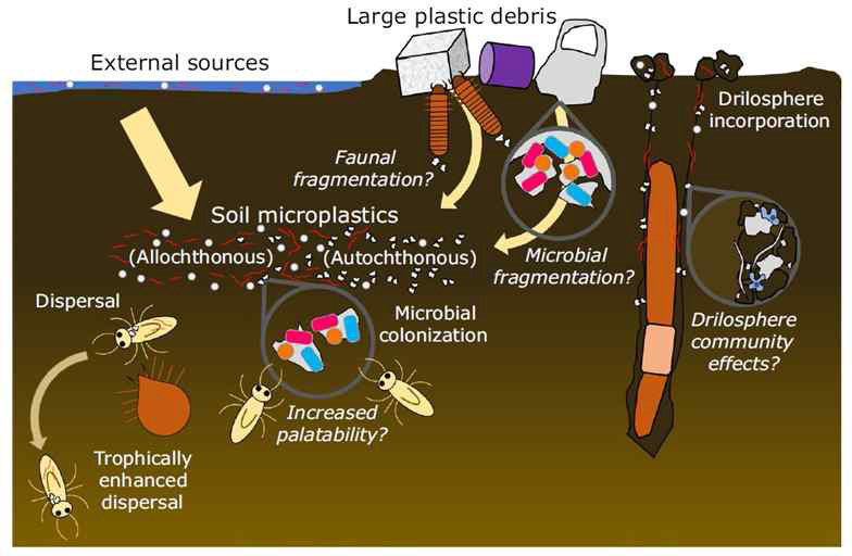 토양 중 미세플라스틱 분포 및 잠재적 영향 (Helmberger et al., Functional Ecology (2020))