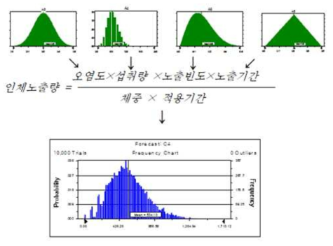 인체노출량에 적용된 Monte-Carlo simulation 모식도 예시