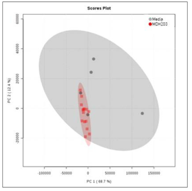 MDH203 균주 유래 소포 시료와 배지 시료의 비교 분석 결과 (PCA)