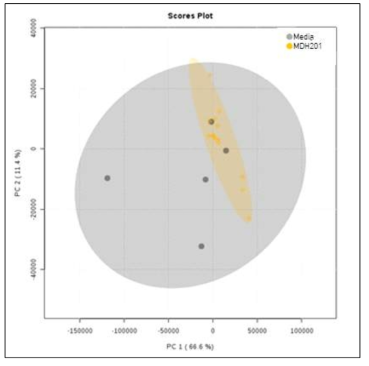 MDH201 균주 유래 소포 시료와 배지 시료의 비교 분석 결과 (PCA)