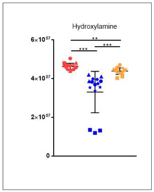 Hydroxylamine의 균주별 relative intensity 분포