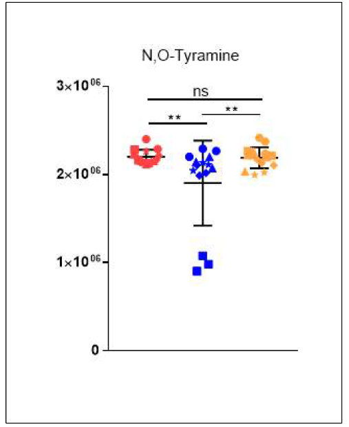N,O-tyramine의 균주별 relative intensity 분포