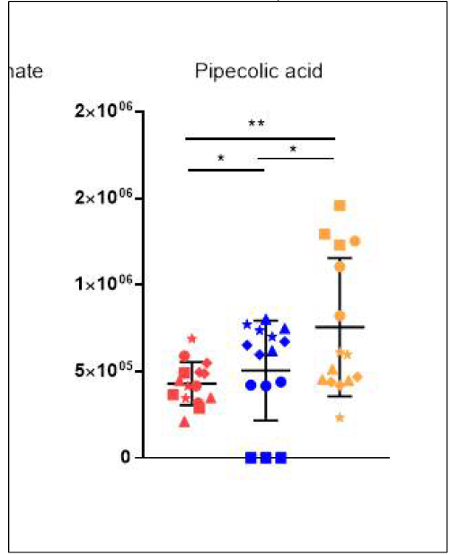 Pipecolic acid의 균주별 relative intensity 분포