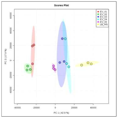 나노소포 시료와 배지의 비교분석 결과 (PCA)