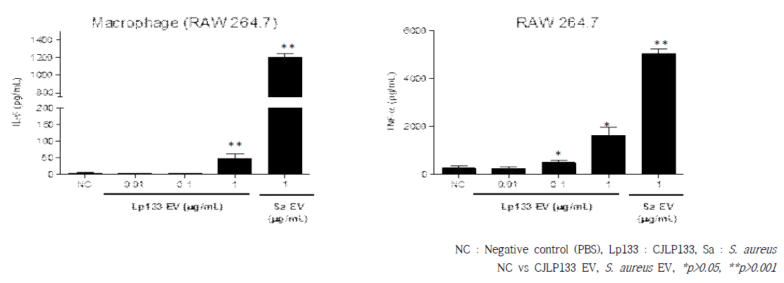 복강대식세포에서 유산균 (CJLP133) 및 황색포도상구균 (S. aureus) 유래소포에 의한 염증성 매개체 분비양상