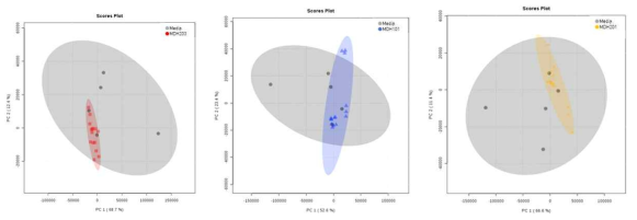 균주 유래 소포 시료와 배지 시료의 비교분석 결과 (PCA). MDH-203 (좌), MDH-101 (가운데), MDH-201 (우)