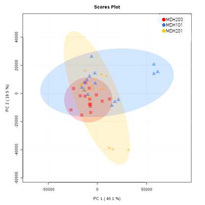 MDH203, MDH101, MDH201 세 균주의 대사체 프로파일 비교 분석 결과 (PCA)