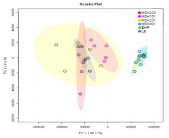 Filteration 사용 검체 (MDH203, MDH101, MDH201, LB)와 Ultracentrifugation 사용 검체 (MDH001, EMP)의 대사체 프로파일 비교 분석 (PCA)