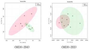 미생물 유래 소포 시료와 배양 배지 유래 시료의 대사체 프로파일 비교 분석 (PCA)