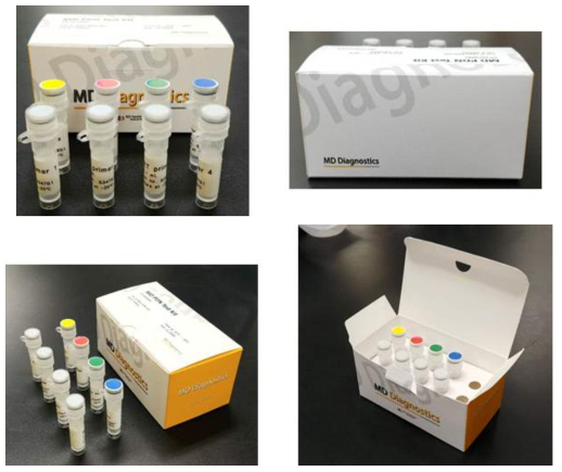 대장암 진단키트 (qPCR) 시작품