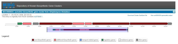 목적산물인 aureothin의 biosynthetic gene cluster (BGC)에 대한 bioinformatics (MiBig)