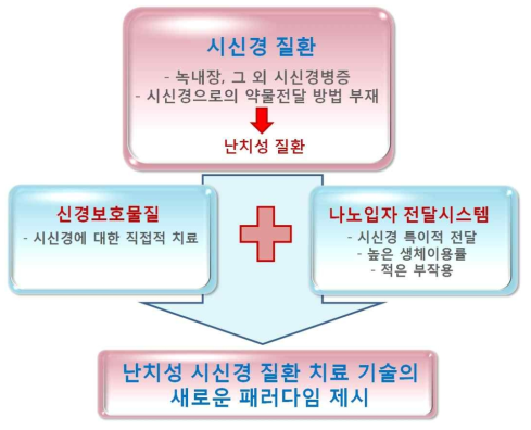 연구 개념도