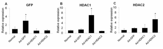 The mRNA expression of GFP (A), HDAC1 (B), and HDAC2 (C) in retinas at 3 days after intravitreal injection of adenovirus. Data were normalized to the expression of 18S-rRNA