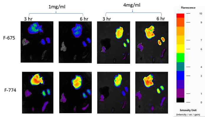 Biodistribution of HGC nanoparticle in Balb/C nude mice