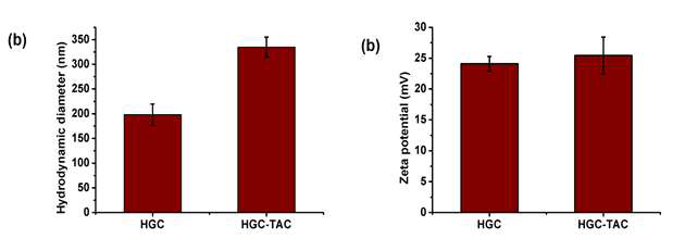 HGC 및 HGC-TAC 의 hydrodynamic diameter (nm) 와 zeta potential (mV)