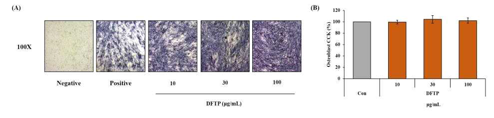 Effects of DFTP on ALP staining (A) and cell viability (B) in BMP-2 stimulated C2C12. Data are presented as ± S.E