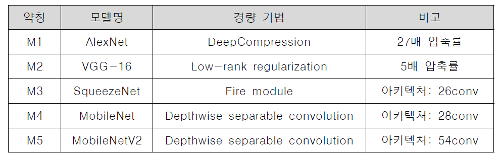 실험에서 사용된 경량 DNN 모델