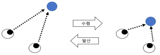 이향 운동의 예. 좌측과 우측 그림은 각각 멀리 있는 대상을 바라 볼 때와 가까이 있는 대상을 바라볼 때의 눈 각도를 표현한다. 이향 운동은 먼 대상에서 가까운 대상으로 시선을 옮길 때의 눈 움직임인 “수렴”과, 반대로, 가까운 대상에서 먼 대상으로 시선을 옮길 때의 눈 움직임인 “발산”으로 구성되어 있다