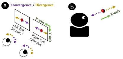 이향 운동을 유발하기 위한 시각 자극. (a) 양안 접안 디스플레이 상에 제시하는 시각자극. 좌측과 우측 디스플레이에 각기 반대 방향으로 움직이는 동일한 시각 자극을 제시한다. (b) 이러한 시각 자극을 사용자가 응시 할 때, 사용자는 해당 시각 자극들이 두 개의 좌우로 움직이는 시각 자극이 아닌, 하나의 앞 뒤로 움직이는 시각 자극으로 인식하게 된다