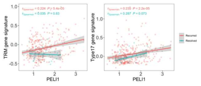 PELI1과 TRM, type 17 gene signature 상관관계 분석