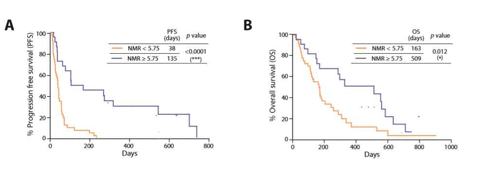 NMR 기준에 따른 PFS와 OS