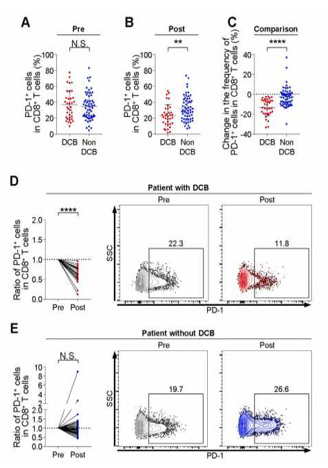 NSCLC 환자에서 PD-1 억제제에 따른 CD8+T 림프구 중 PD-1+ 세포 빈도