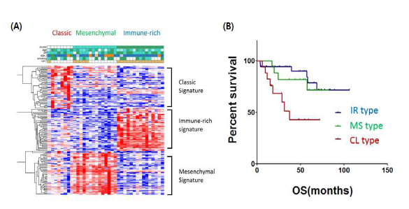 구인두암 환자 수술 조직의 RNA-seq data기반 molecular subtyping(A)과 molecular subtype에 따른 환자 예후의 차이(B)